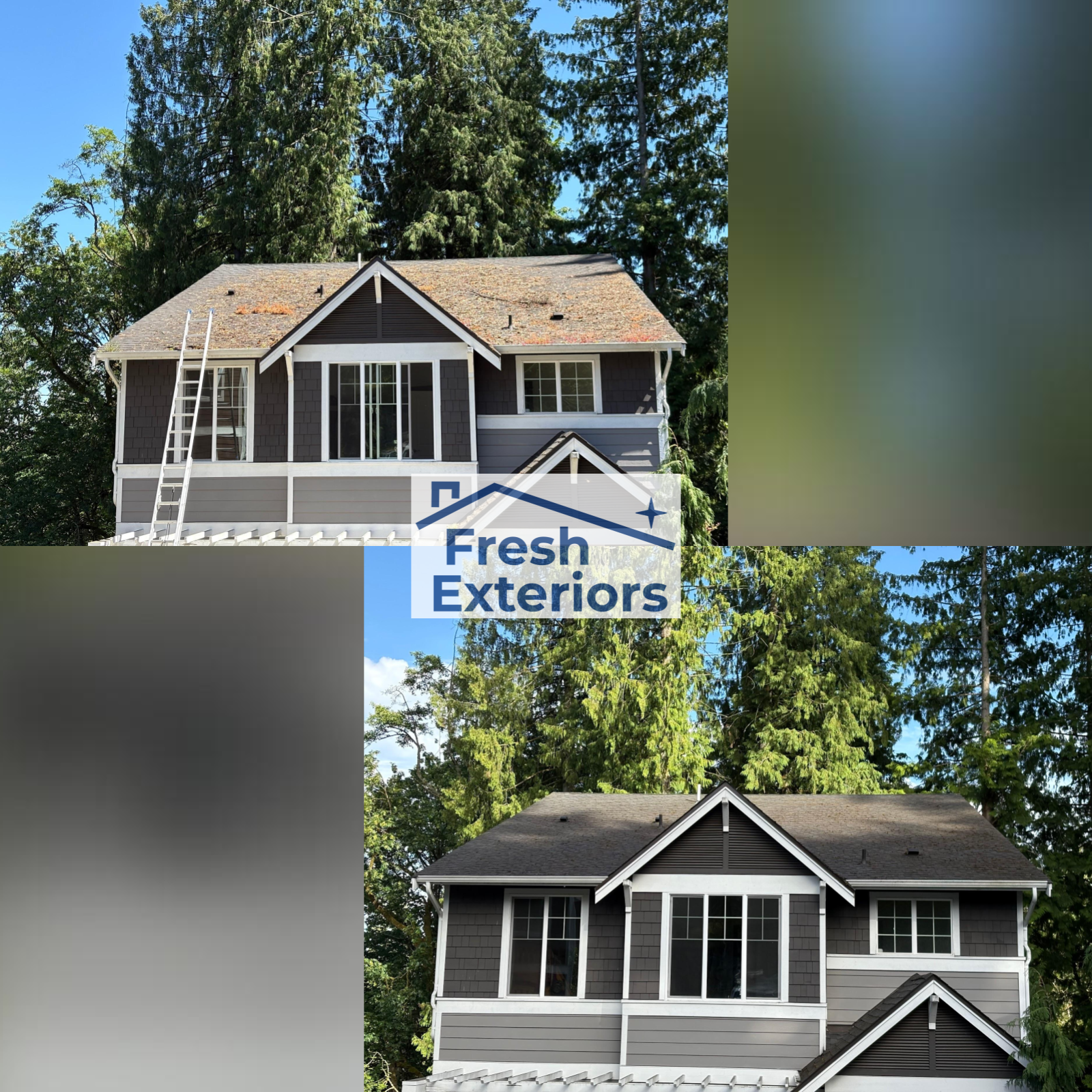 Roof Cleaning - Asphalt - Debris Removal