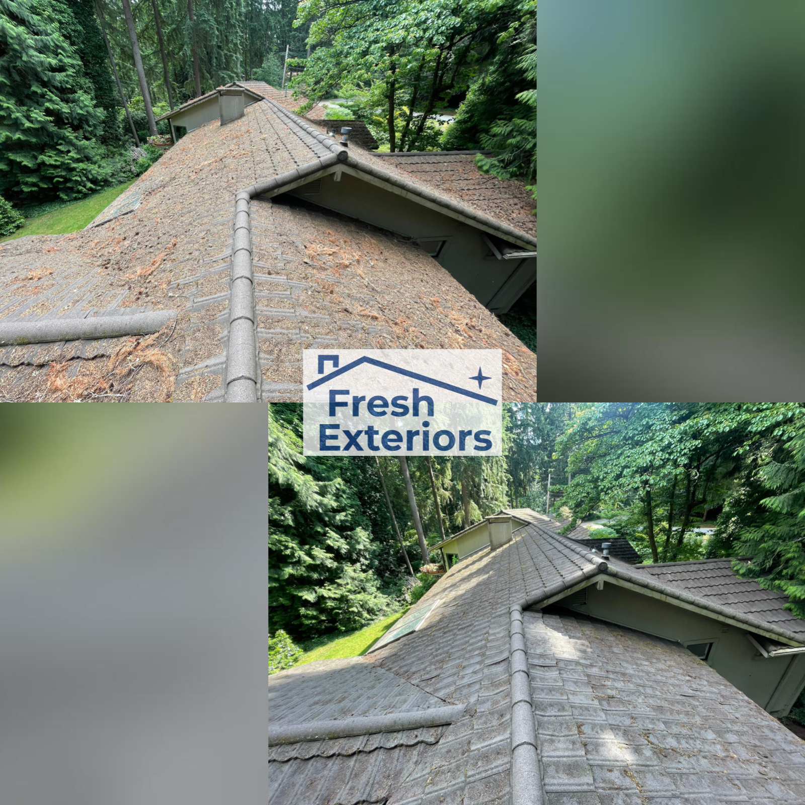Roof Cleaning - Metal - Debris Removal
