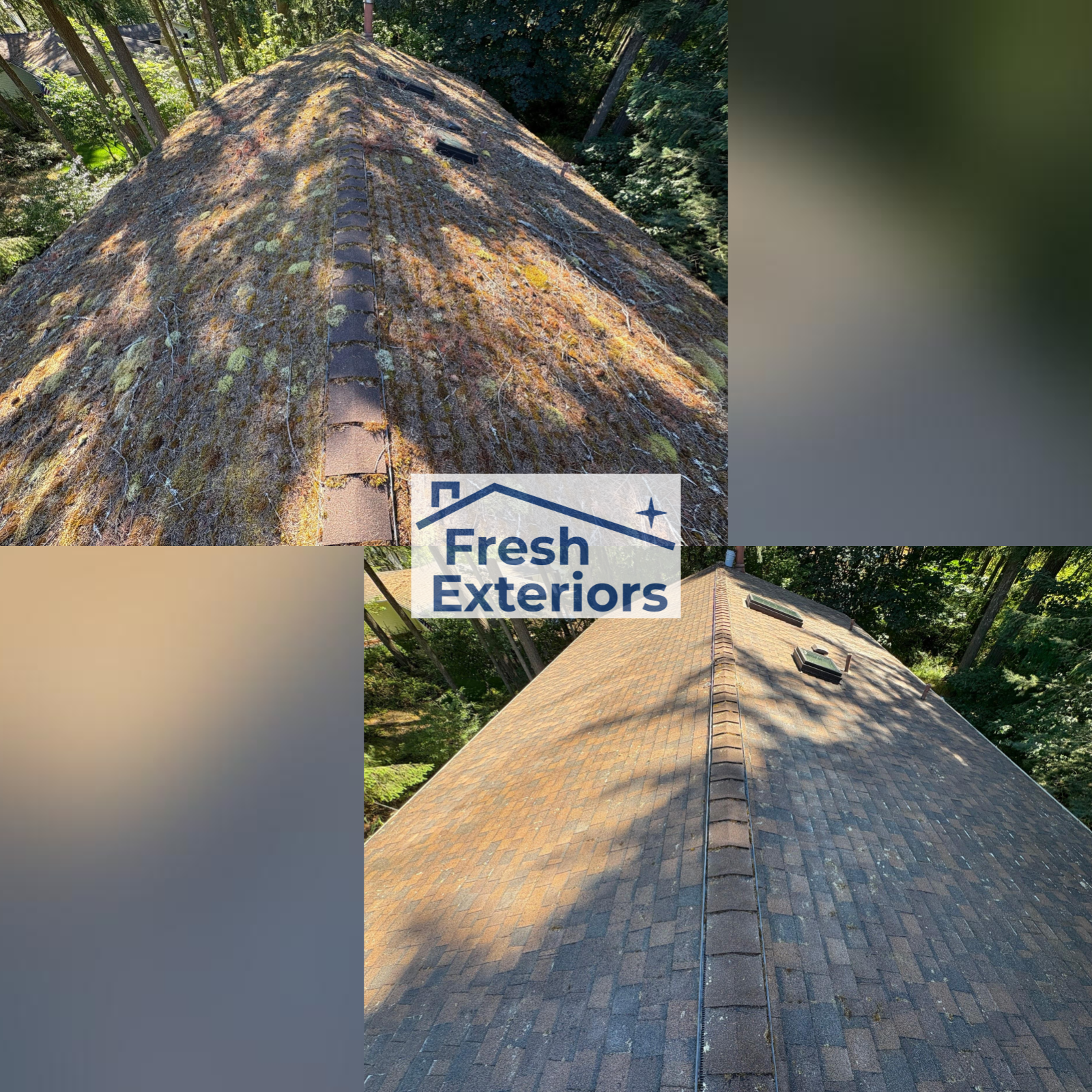 Roof Cleaning - Asphalt - Soft Wash