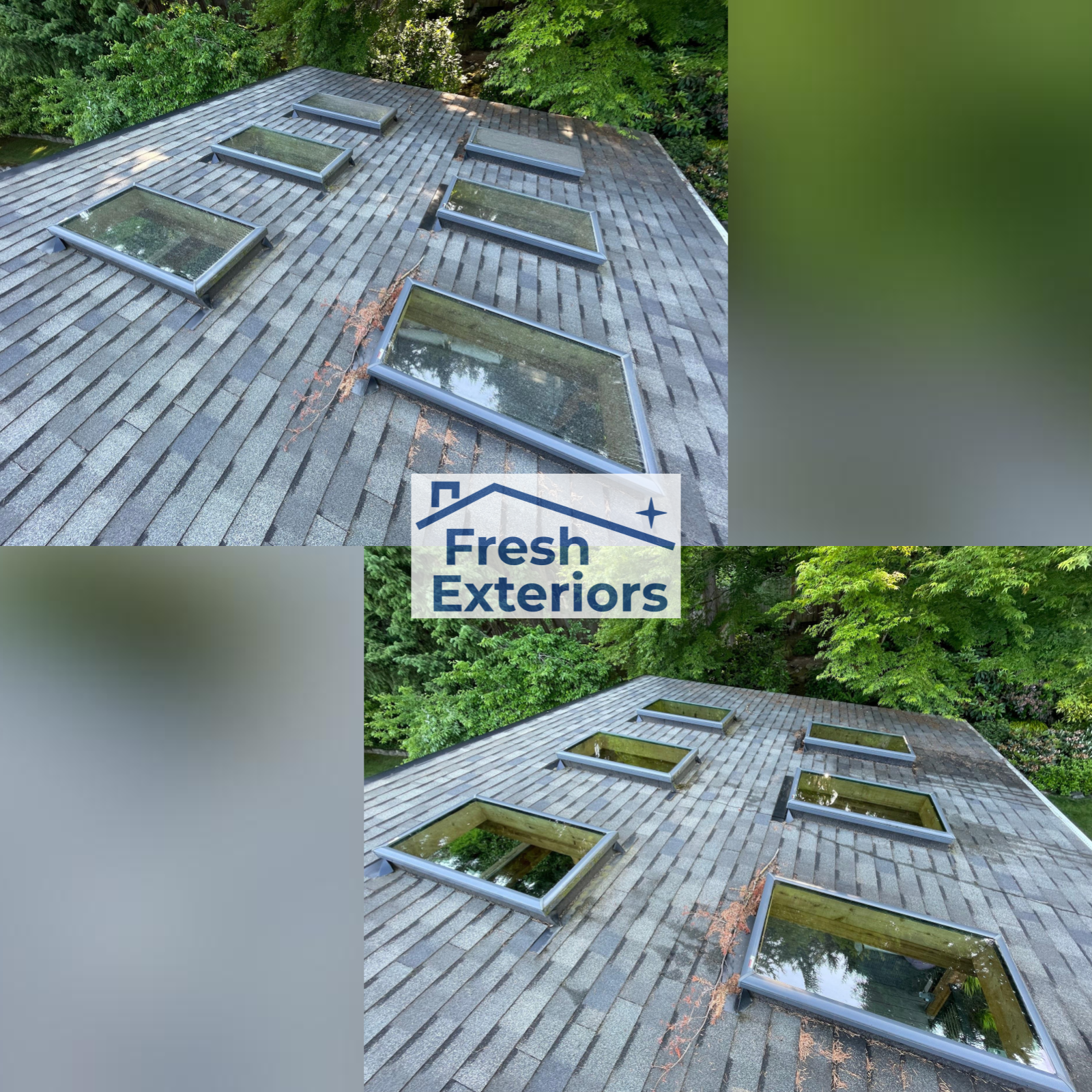 Skylight Cleaning
